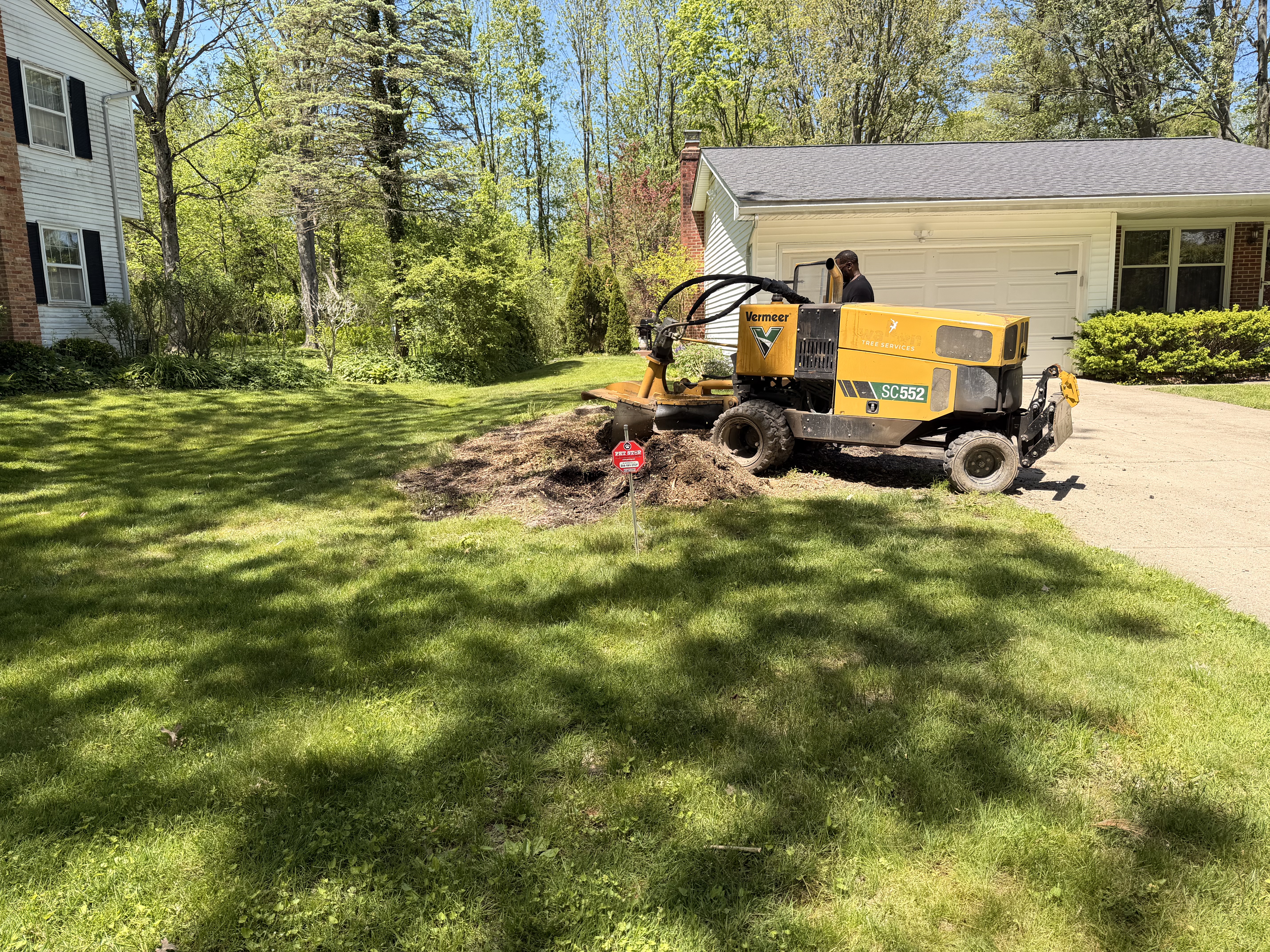 Stump grinding in progress