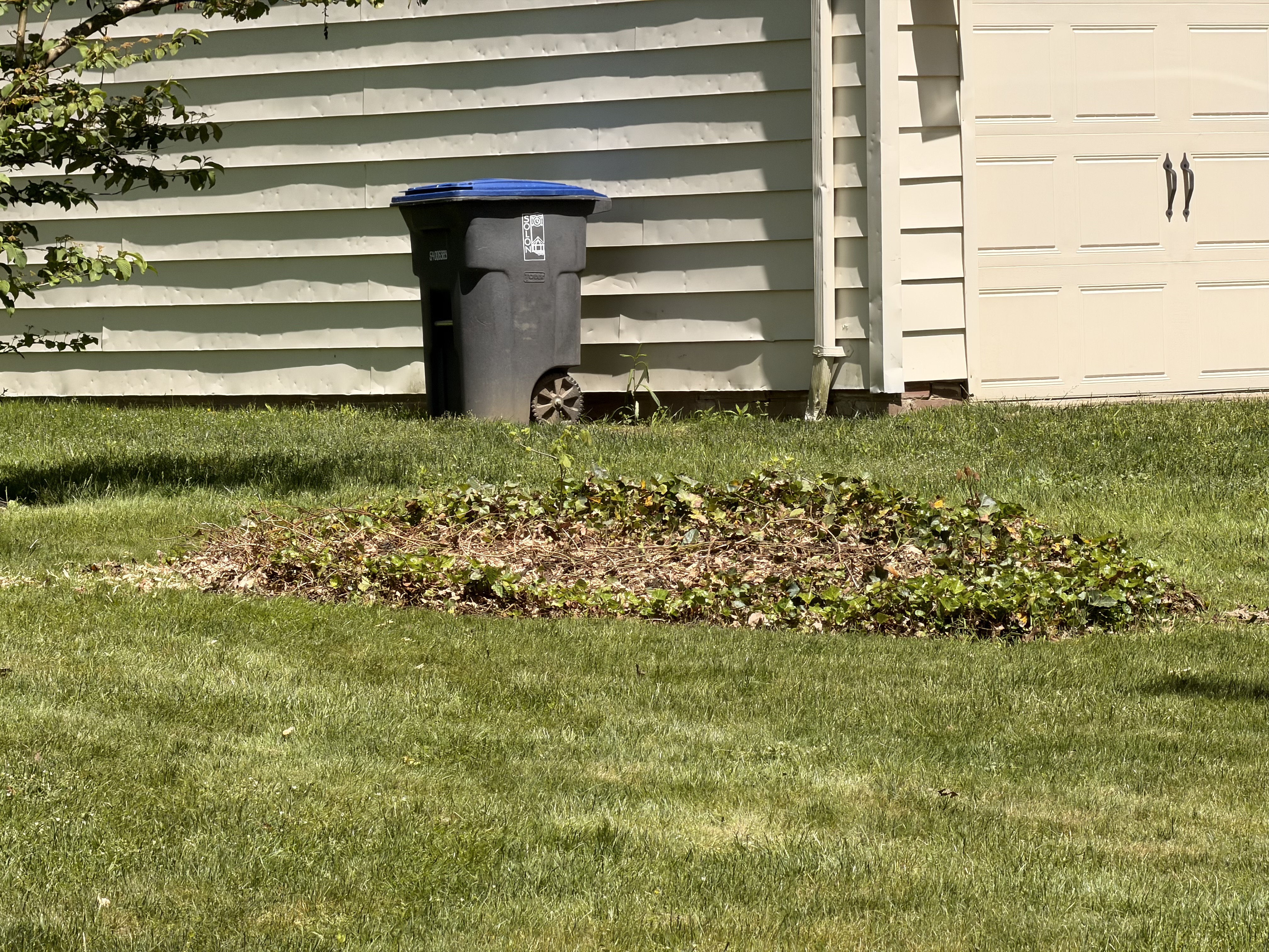 Vermeer stump grinder on job
